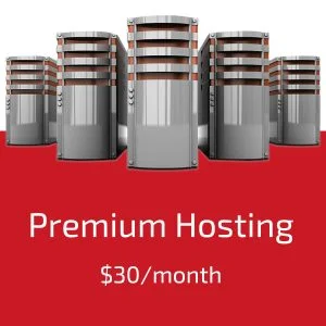 Premium Hosting